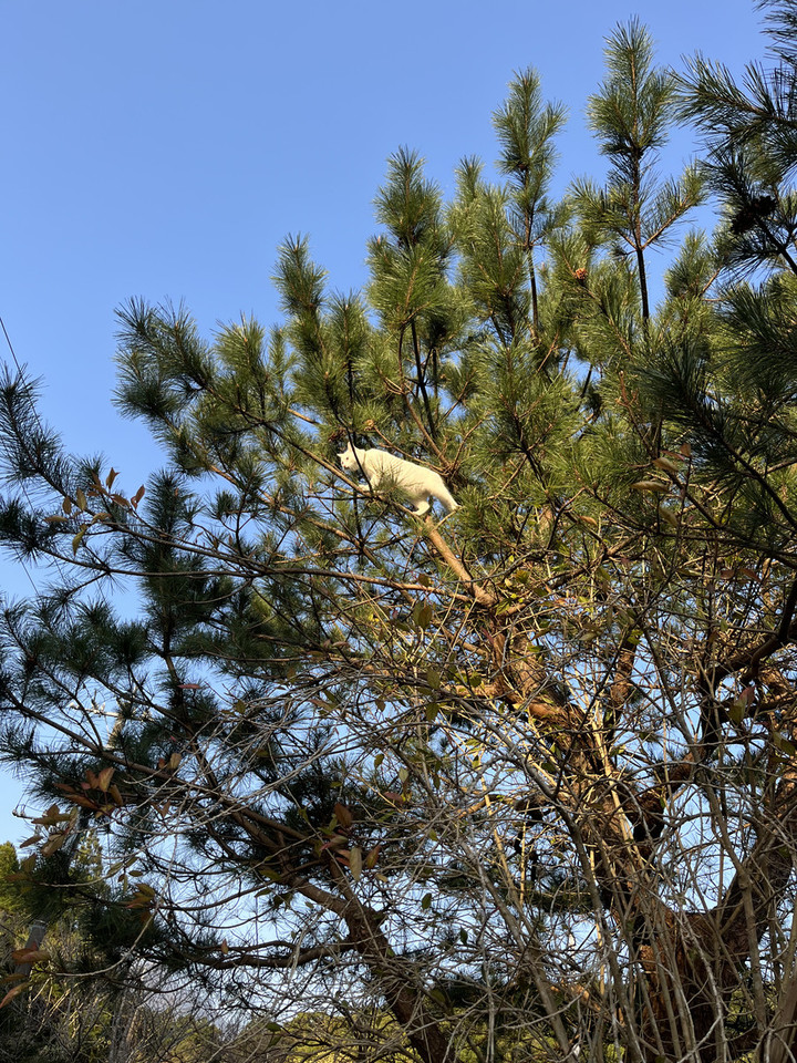 1bdfb0f766ee40aab1e3b1a679e49417