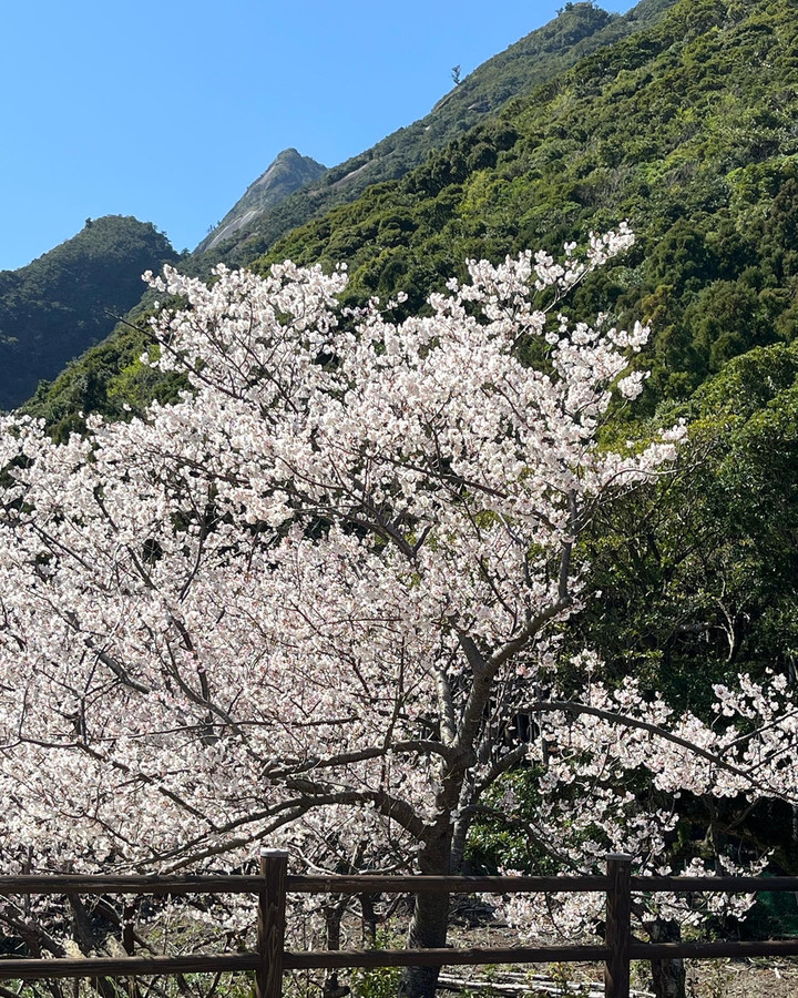 35b96a5111a346bb819c35db908812e0