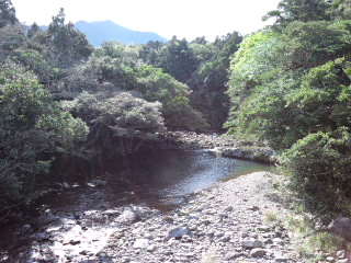 屋久島クイズ③