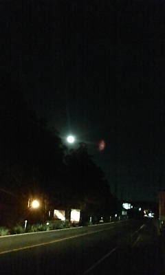 今夜はお好み焼き♪