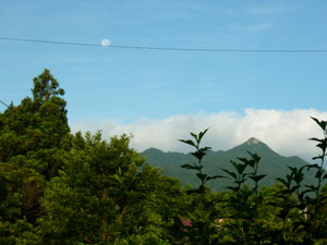 P1010403_5
