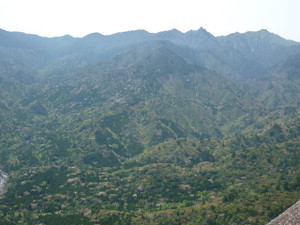 P1020504