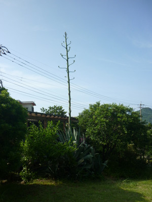 P1030935