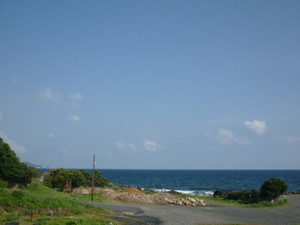 P1030946