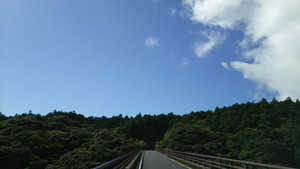 Image_6