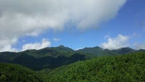Image_7