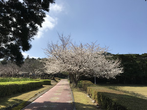 Img_1784_2