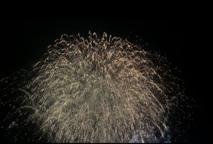 01ff5b8bd6a24be1ad77f29b70f9b6b8